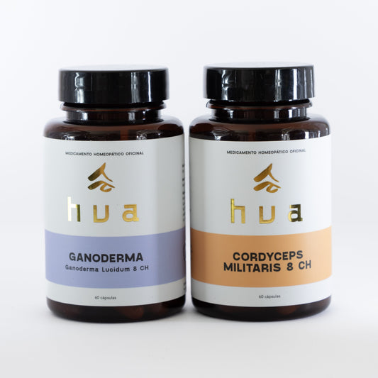 COMBO CHISPA ENCENDIDA